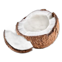 Coconut Milk